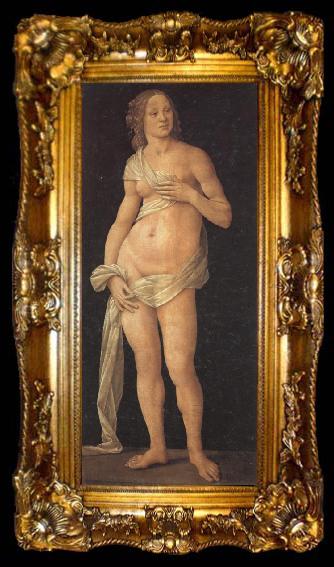 framed  LORENZO DI CREDI Venus, ta009-2